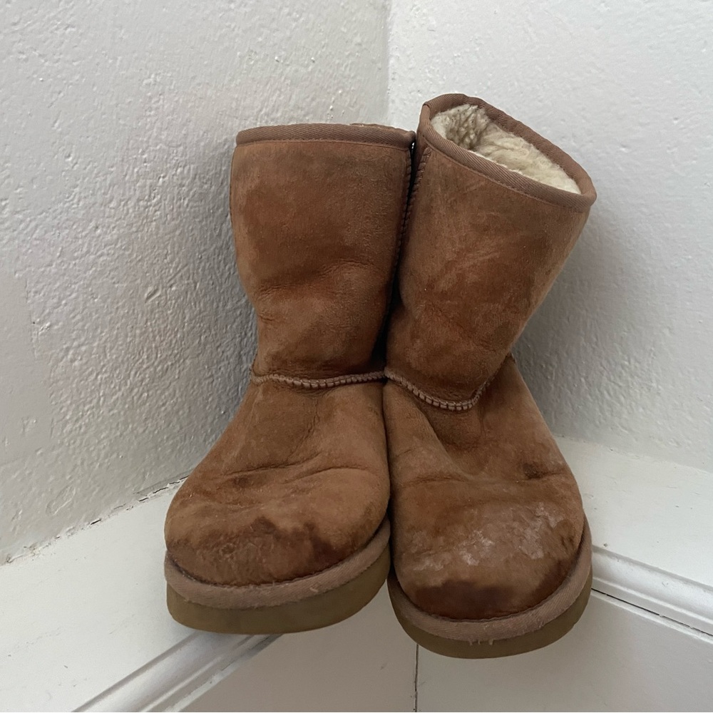 Chestnut Ugg Boots